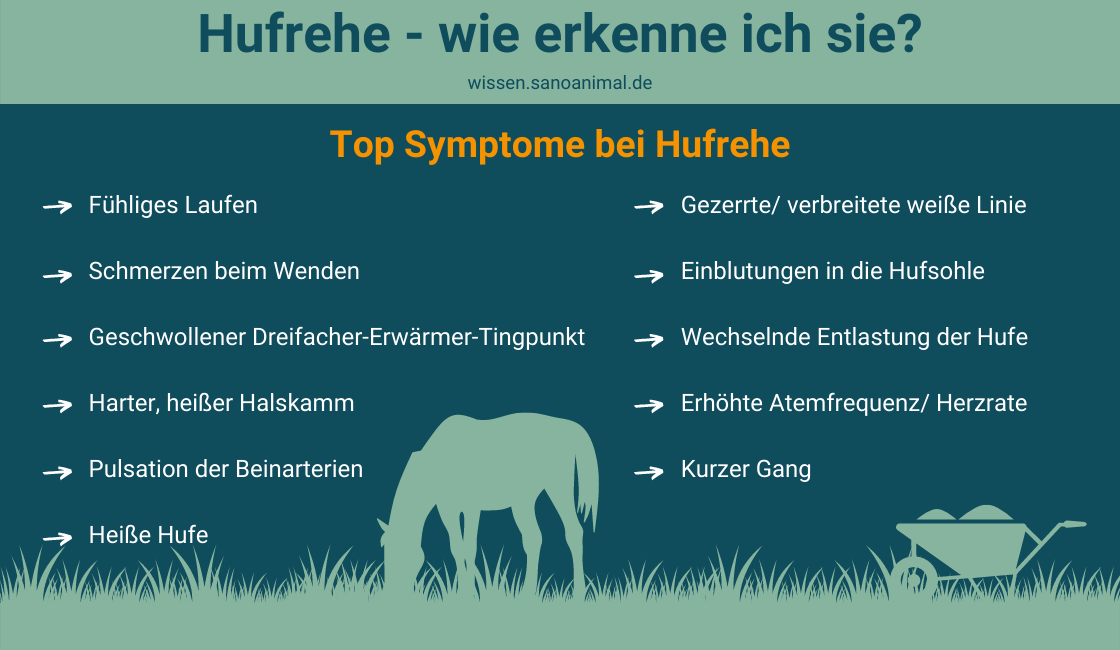 Hufrehe - wie erkenne ich sie?