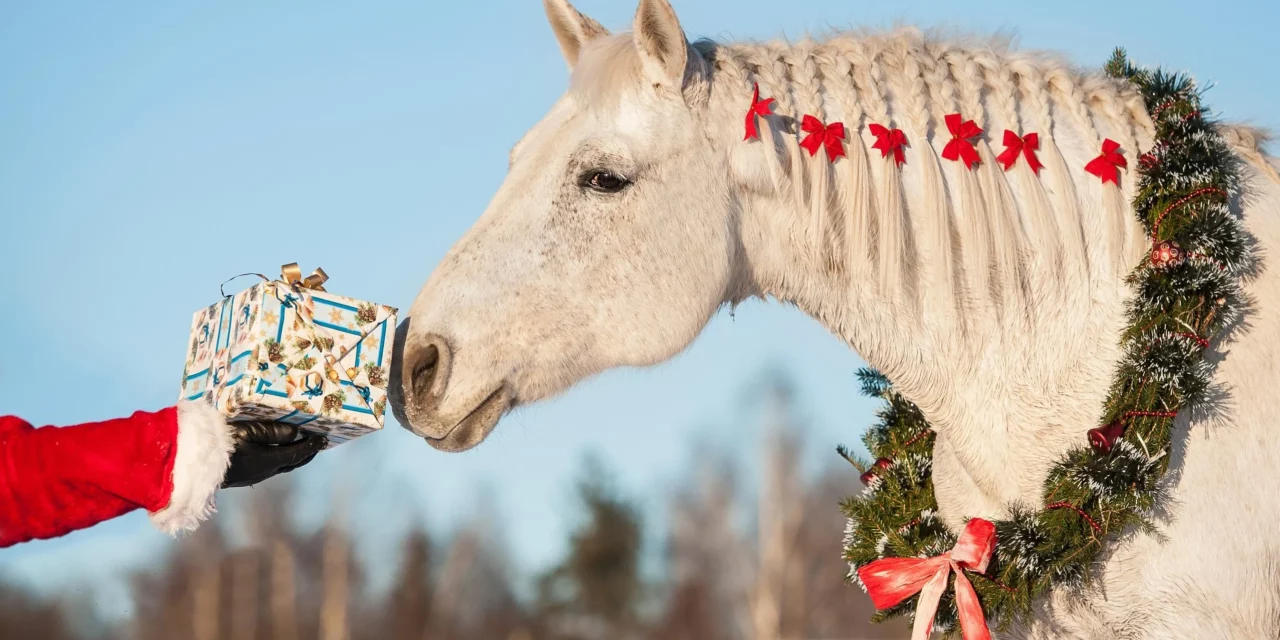 5 Dinge die Pferde sich zu Weihnachten wünschen würden