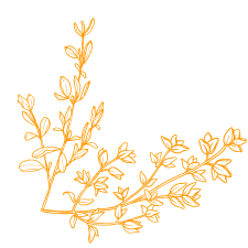 Icon Pflanze