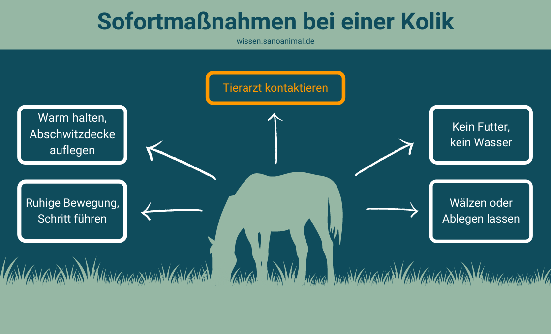 Sofortmaßnahmen bei einer Kolik