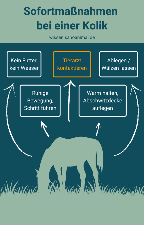 Sofortmaßnahmen Kolik