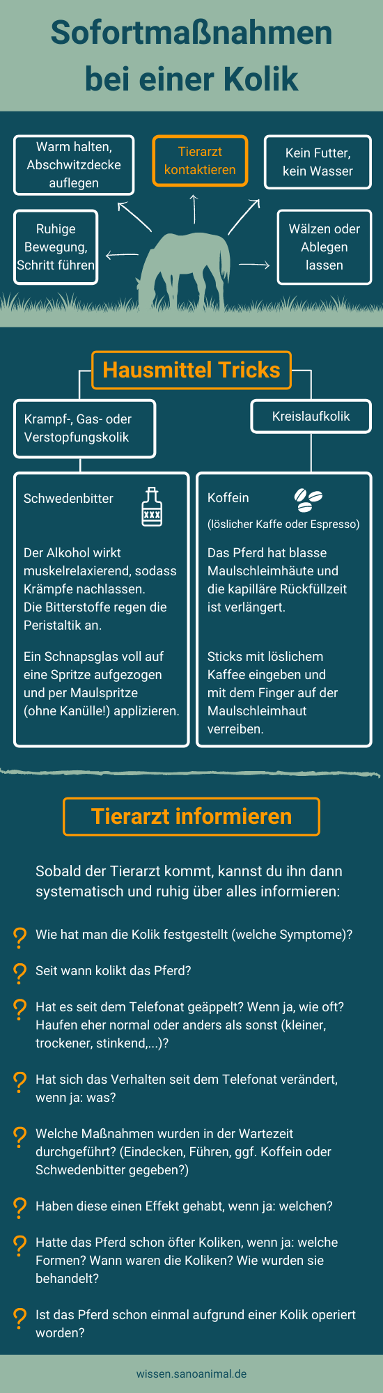 Sofortmaßnahmen bei einer Kolik
