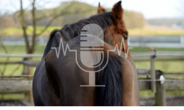 Sanoanimal Podcast #27 Cushing – viel seltener als man denkt