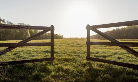 5 Punkte für die Vorbereitung der Weiden für das Frühjahr