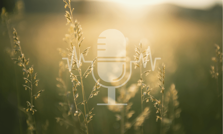 Podcast