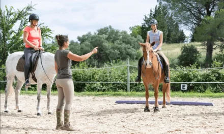 Stall-Turnier mal ganz anders