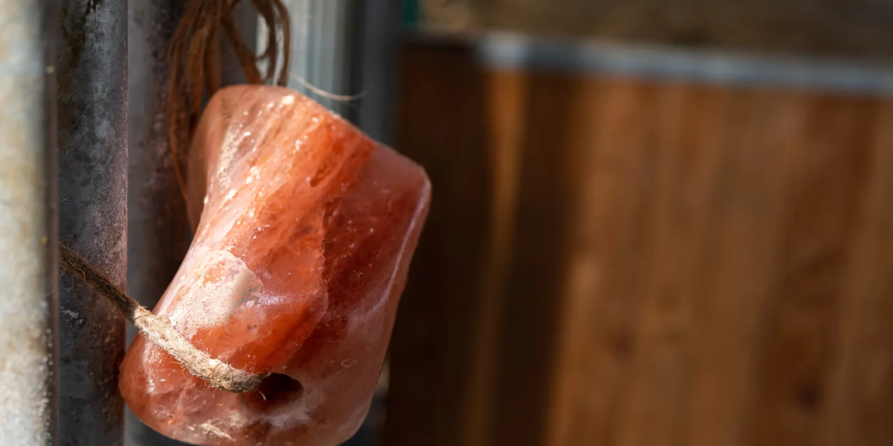 Salzlecksteine „all you can eat“ im Aufzuchtstall – geht das gut?