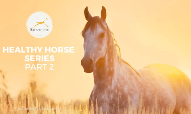 HEALTHY HORSE SERIES PT. 2/3 – Early Markers & Metabolic Diseases