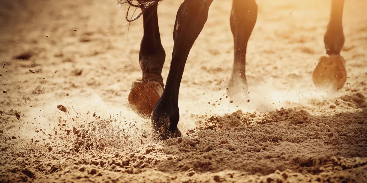 Fact Sheet: Laminitis