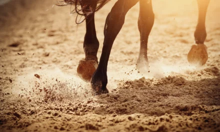 Fact Sheet: Laminitis