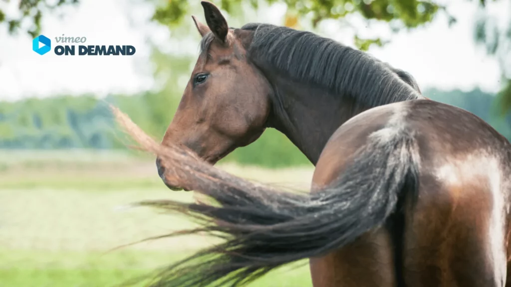 Titelbild Fragerunde Kotwasser für Webseite