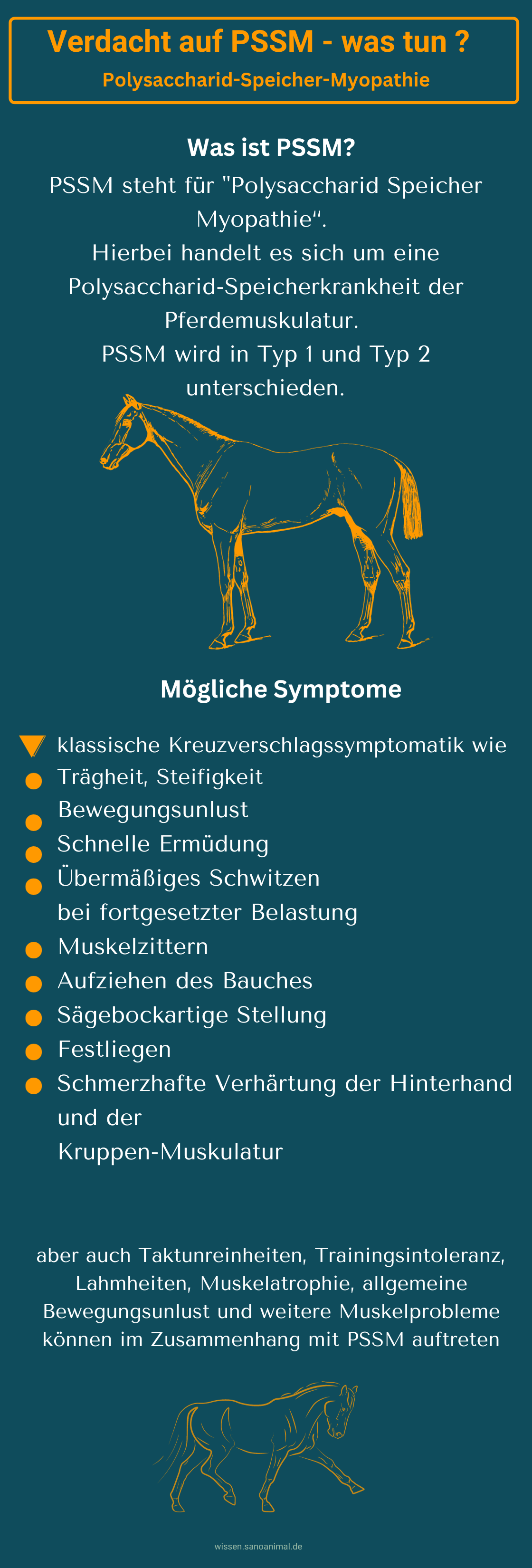 Infografik Was tun bei PSSM 1