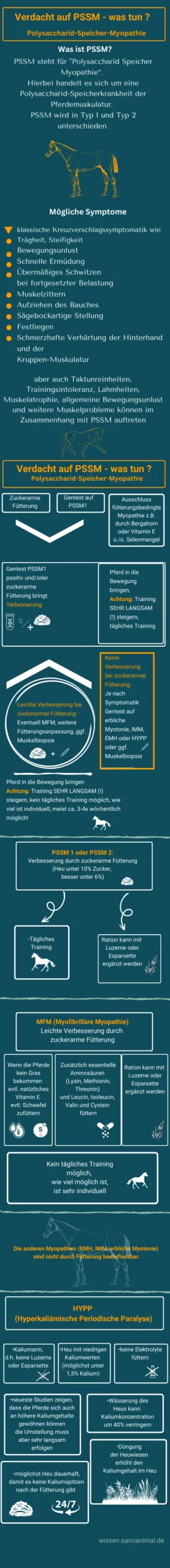 Infografik PSSM bei Pferden