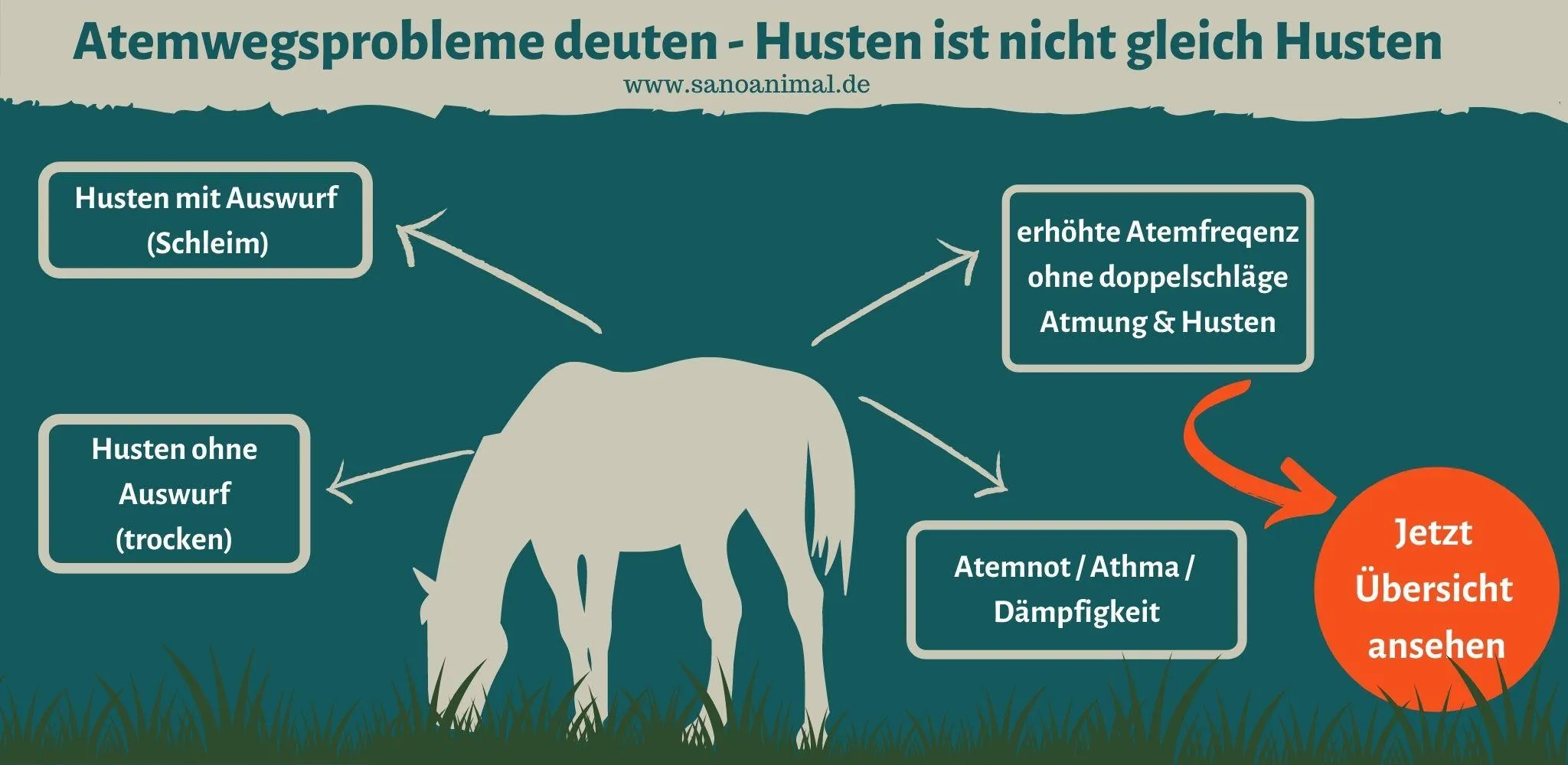 Atemwegsprobleme deuten - Husten ist nicht gleich Husten