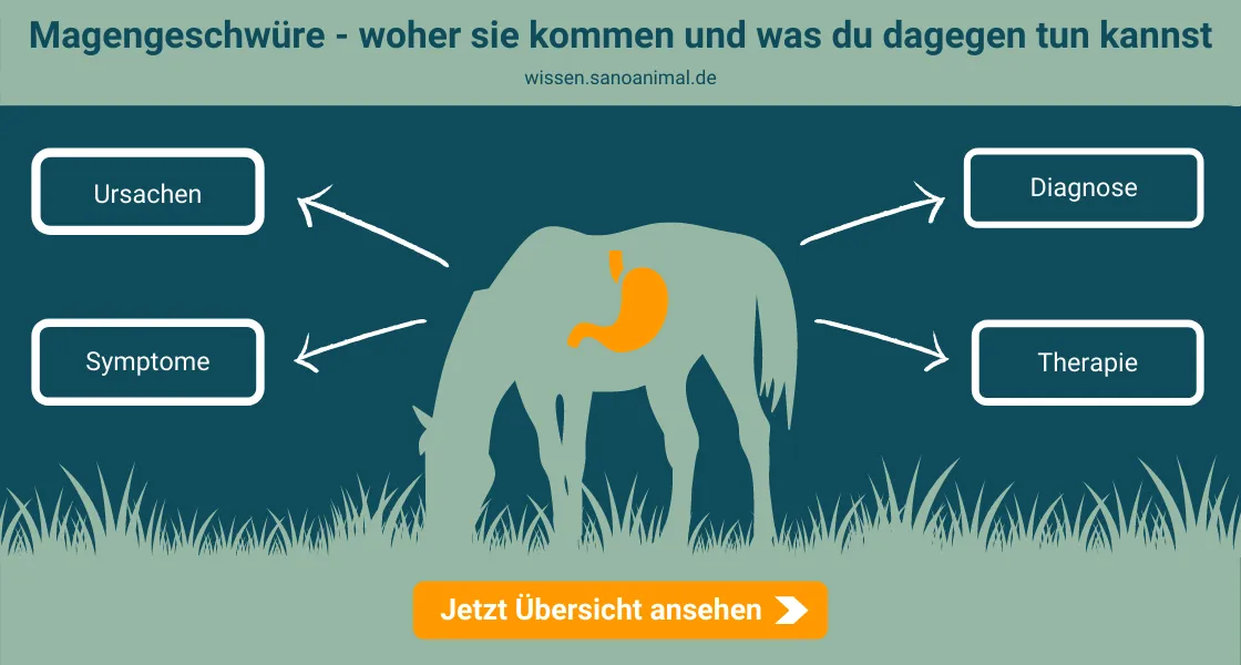 Magengeschwüre - woher sie kommen und was du dagegen tun kannst