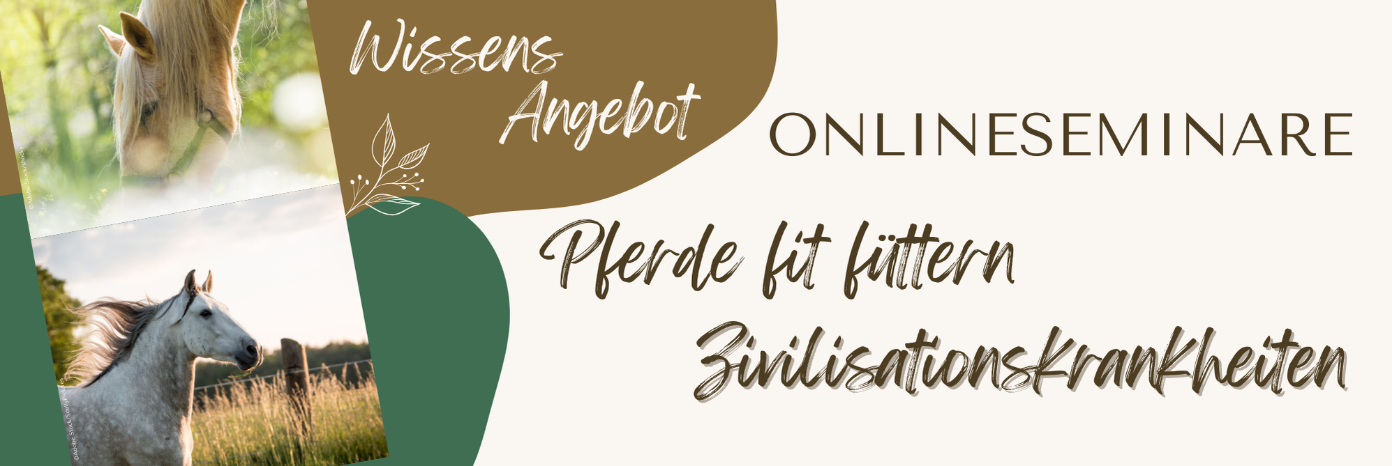 Wissens Angebot : Online Seminare: Pferde fit füttern , Zivilisationskrankheiten