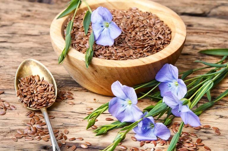 Leinsamen in einer Schale, verziert mit Flachsblüten