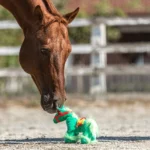 Lernblockaden beim Pferd erkennen und verstehen