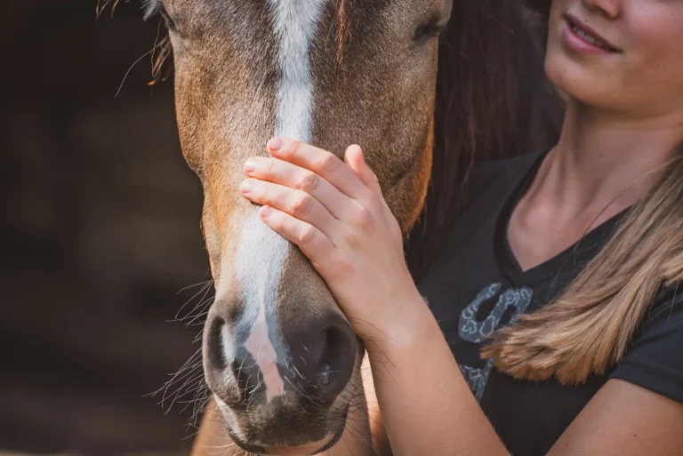 Pony wird von Frau gestreichelt