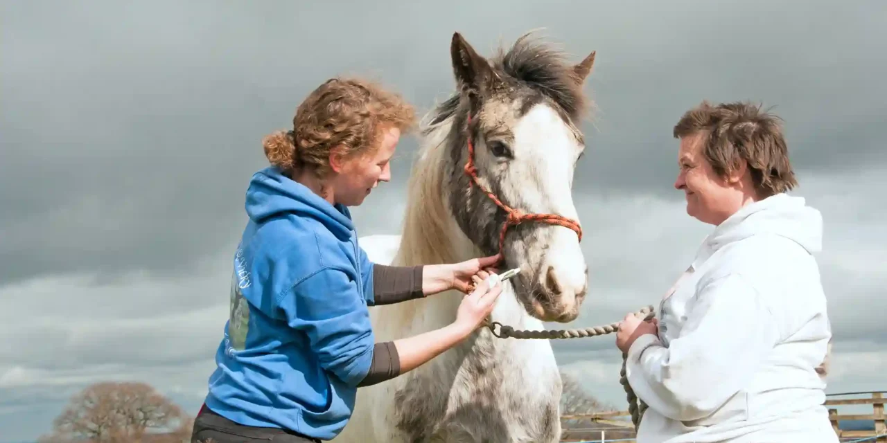 Parasitenprophylaxe beim Pferd: Clever und individuell vorgehen