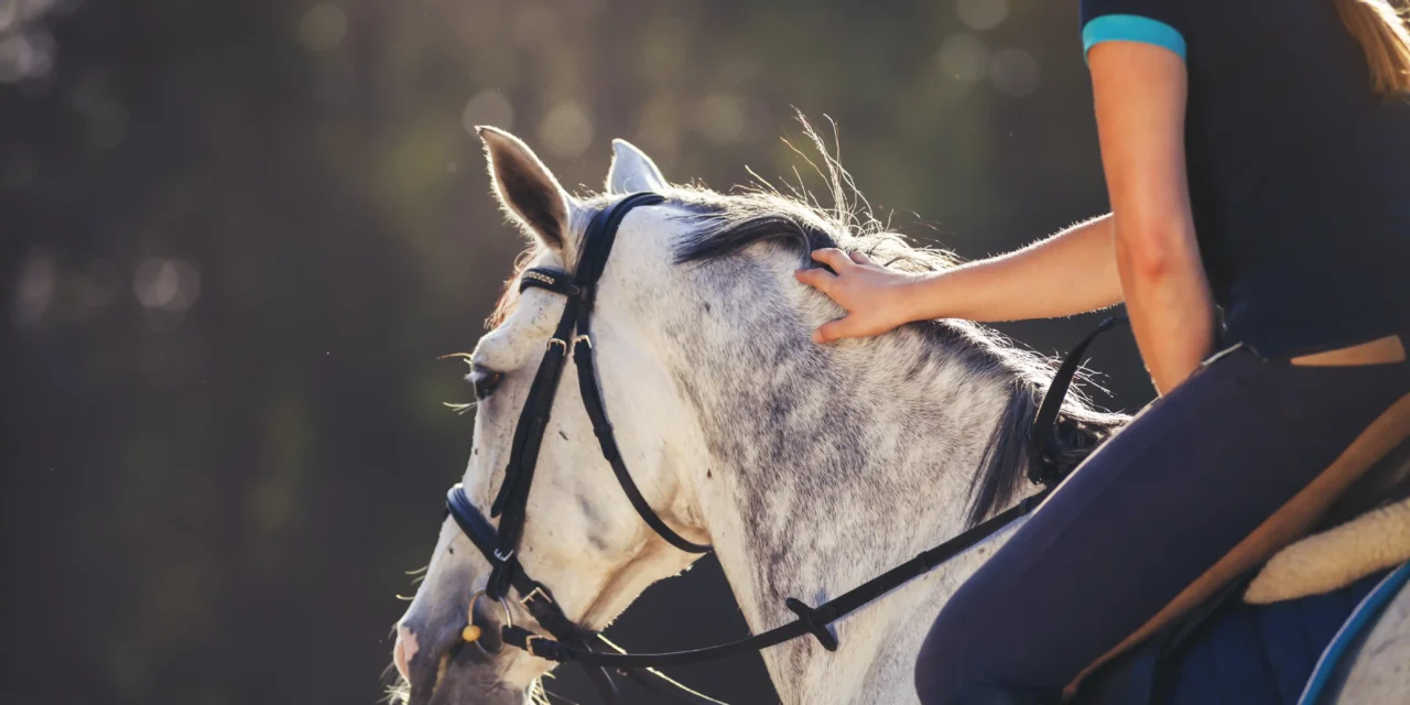 Zwischen Konsequenz und Gewalt – Ethische Aspekte von Strafe und Belohnung im Pferdetraining