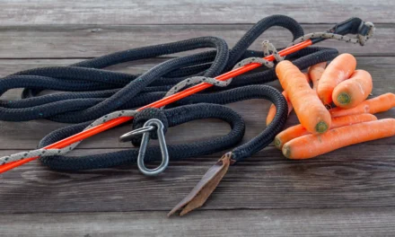 Die vier Quadranten der operanten Konditionierung – Ein vollständiges System des Lernens