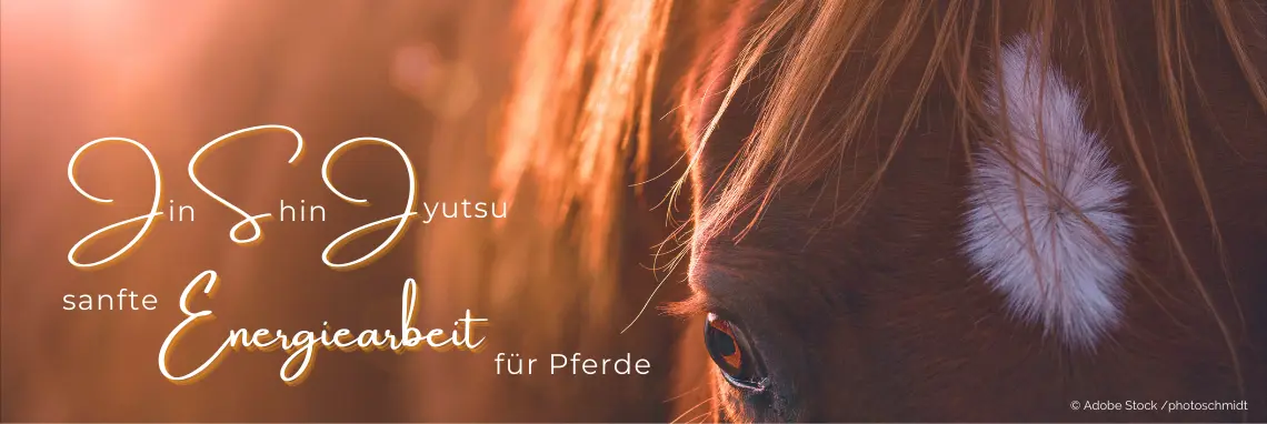 Ausbildung Heilströmen Jin Shin Jyutsu: sanfte Energiearbeit für Pferde