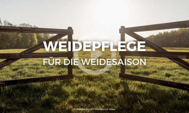 GEBALLTES WISSEN #38 – Weidepflege für die Weidesaison