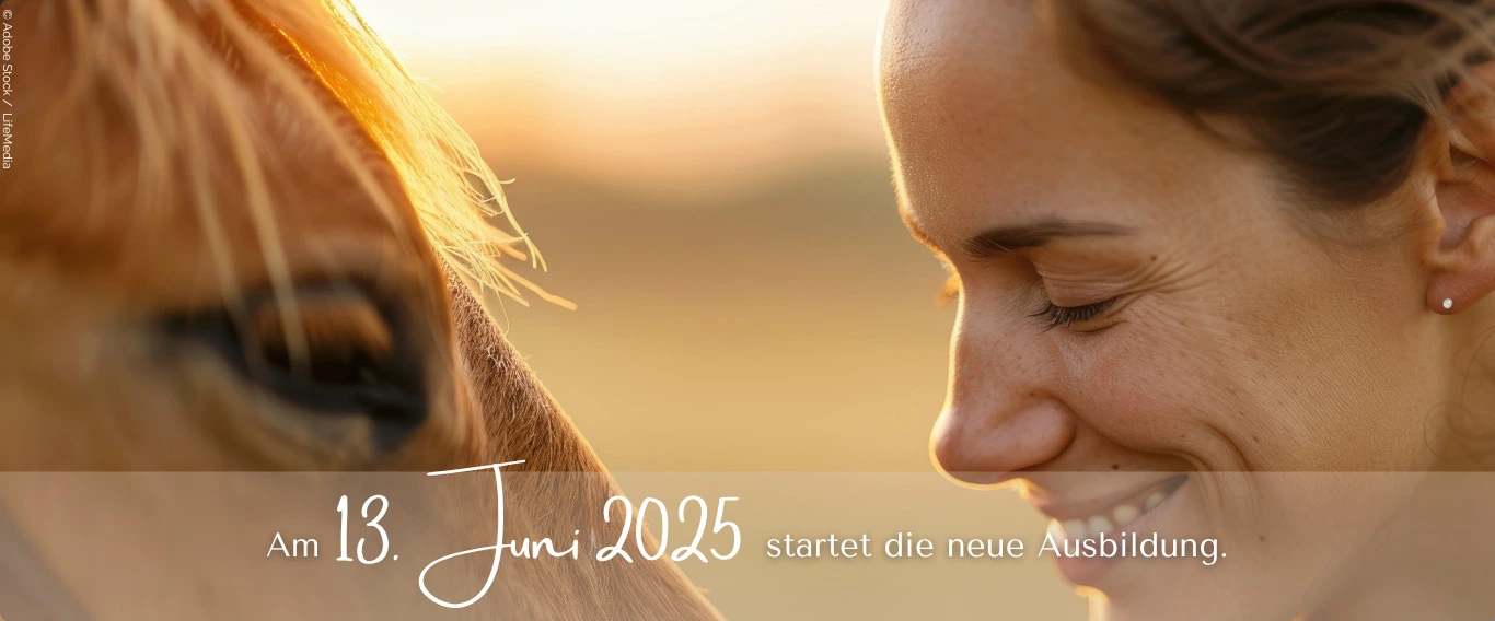 Ausbildung Heilströmen Jin Shin Jyutsu: Starttermin 13. Juni 2025