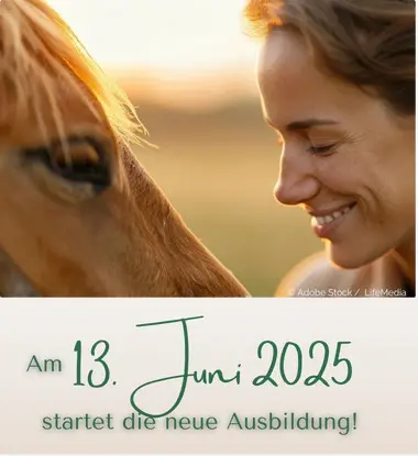 Ausbildung Heilströmen Jin Shin Jyutsu: Starttermin 13. Juni 2025