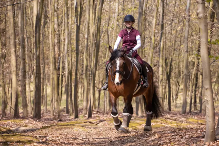 Frau mit Kaltblut im Wald ausreiten