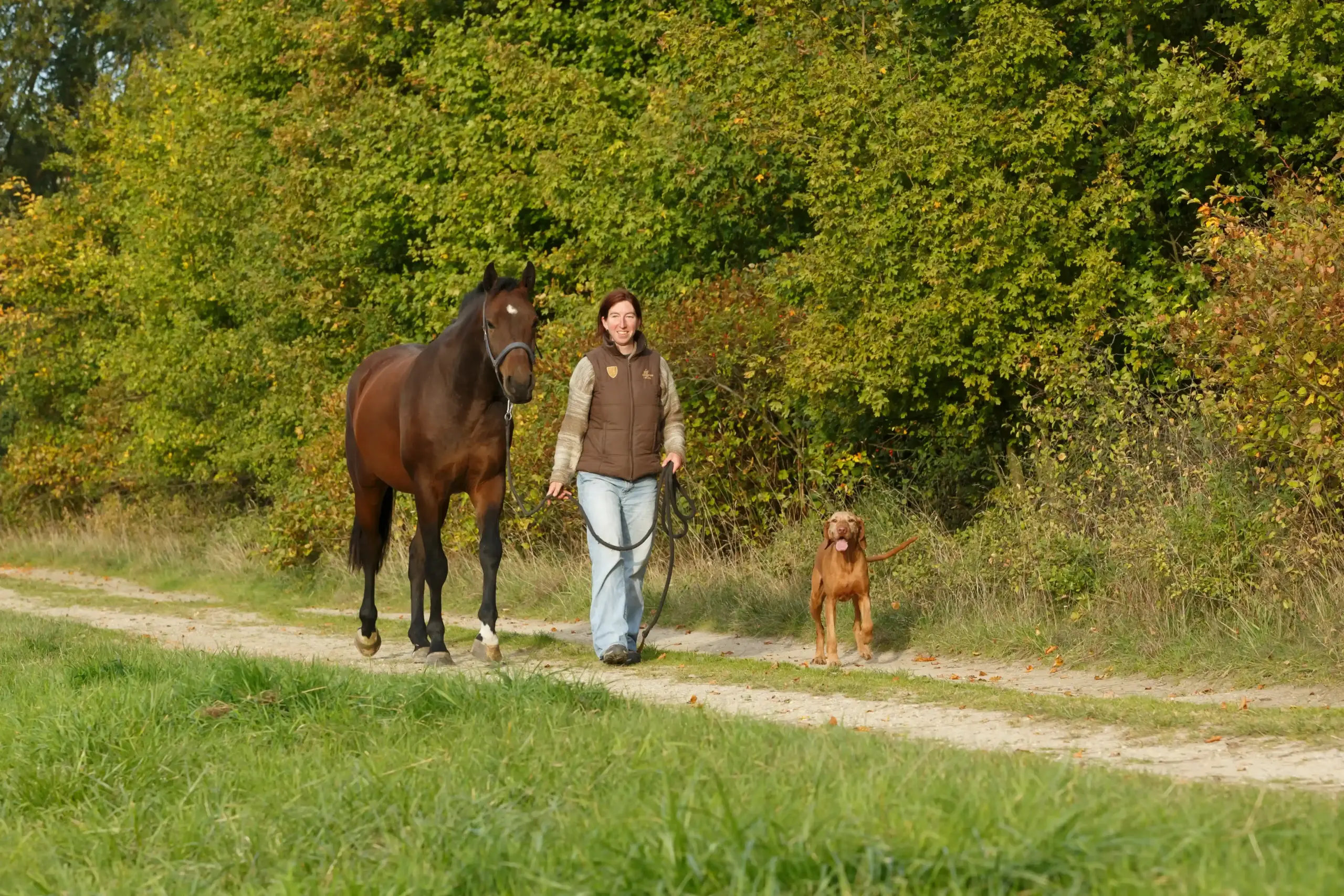 Frau geht mit Pferd und Hund spazieren