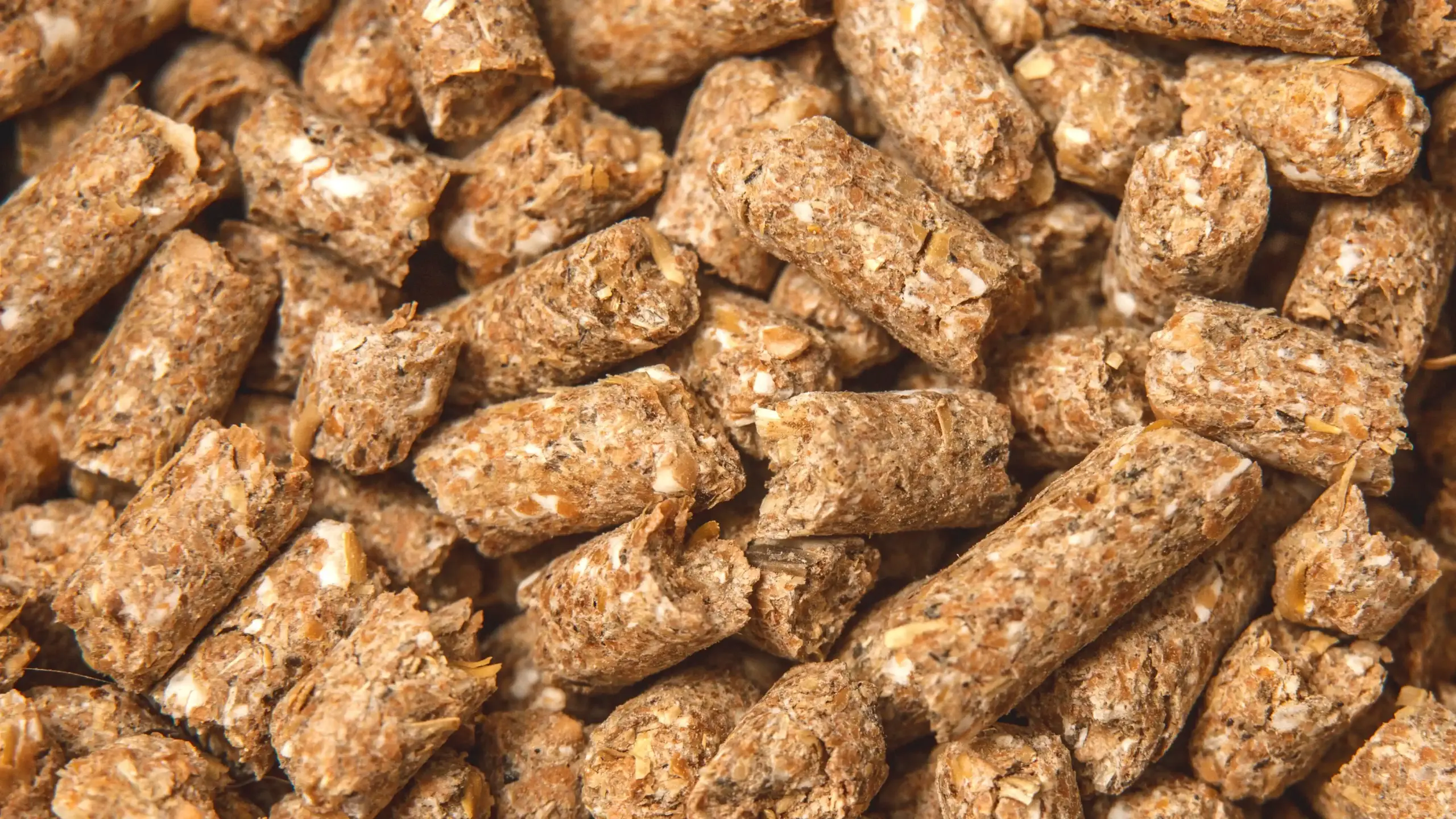 Detailbild von Futterpellets