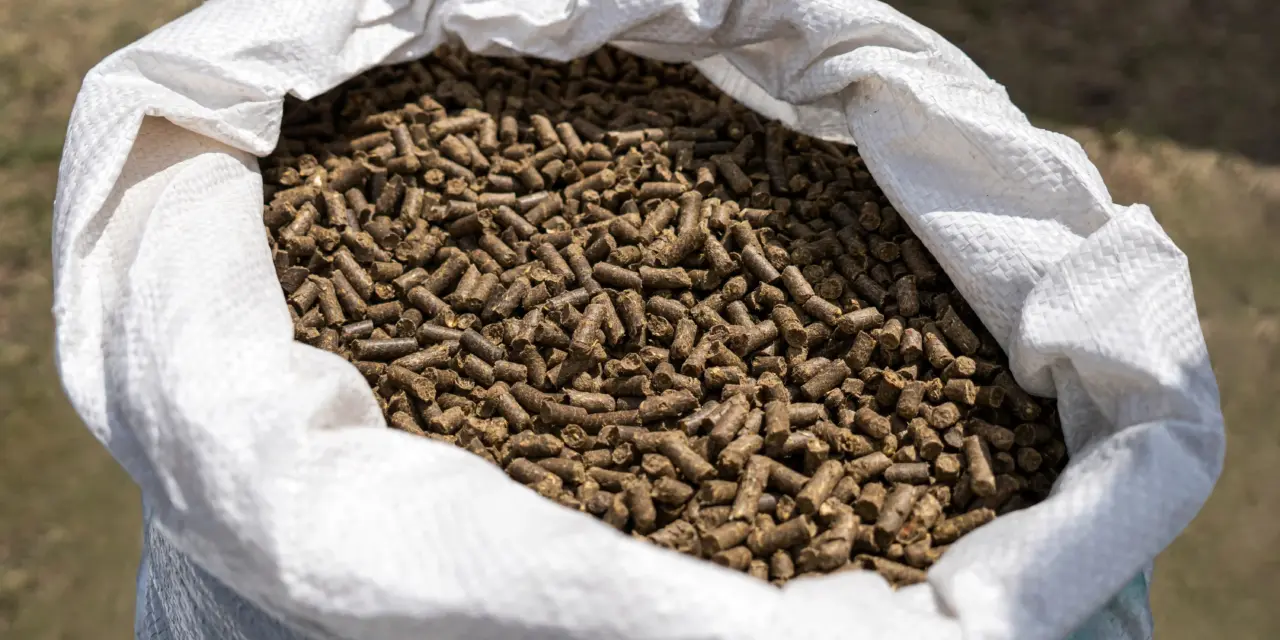 Analytische Bestandteile verstehen: Was Protein, Fett & Co. über dein Pferdefutter verraten