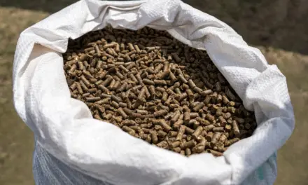 Analytische Bestandteile verstehen: Was Protein, Fett & Co. über dein Pferdefutter verraten