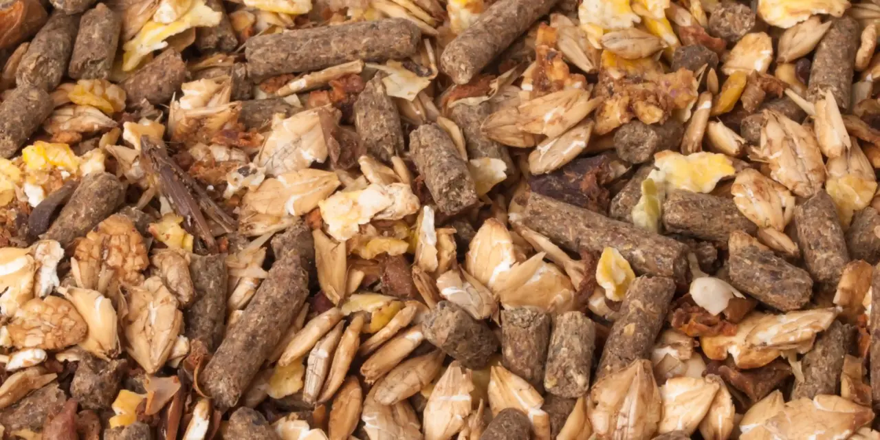 Zusammensetzung enthüllt: Diese Zutaten stecken wirklich im Pferdefutter