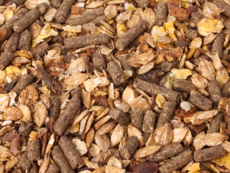 Detailbild von Pferdfuttermüsli