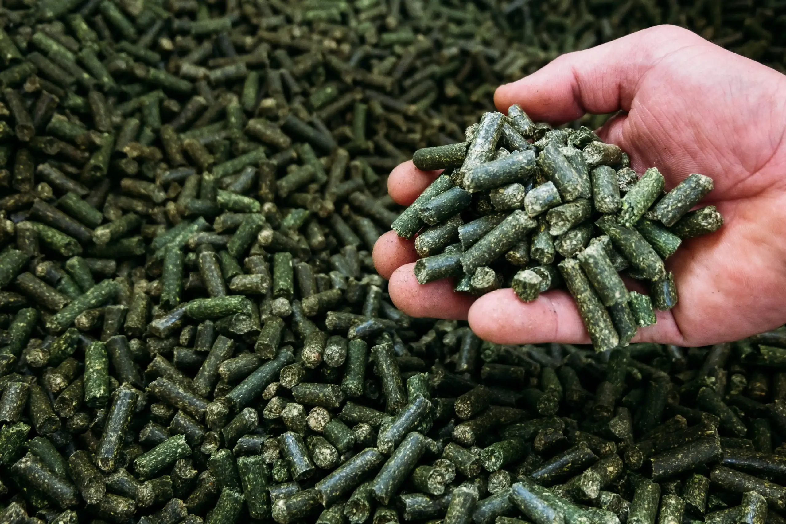 Eine Hand voll mit Pellets
