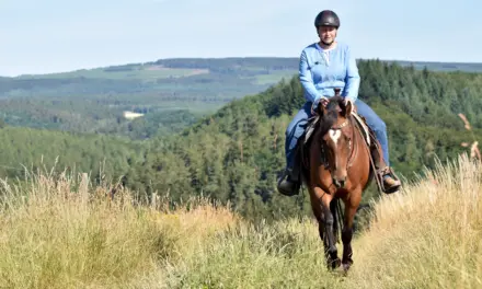 Der beste Trailparcours der Welt: Naturhindernisse clever nutzen