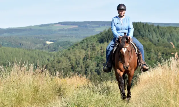 Der beste Trailparcours der Welt: Naturhindernisse clever nutzen