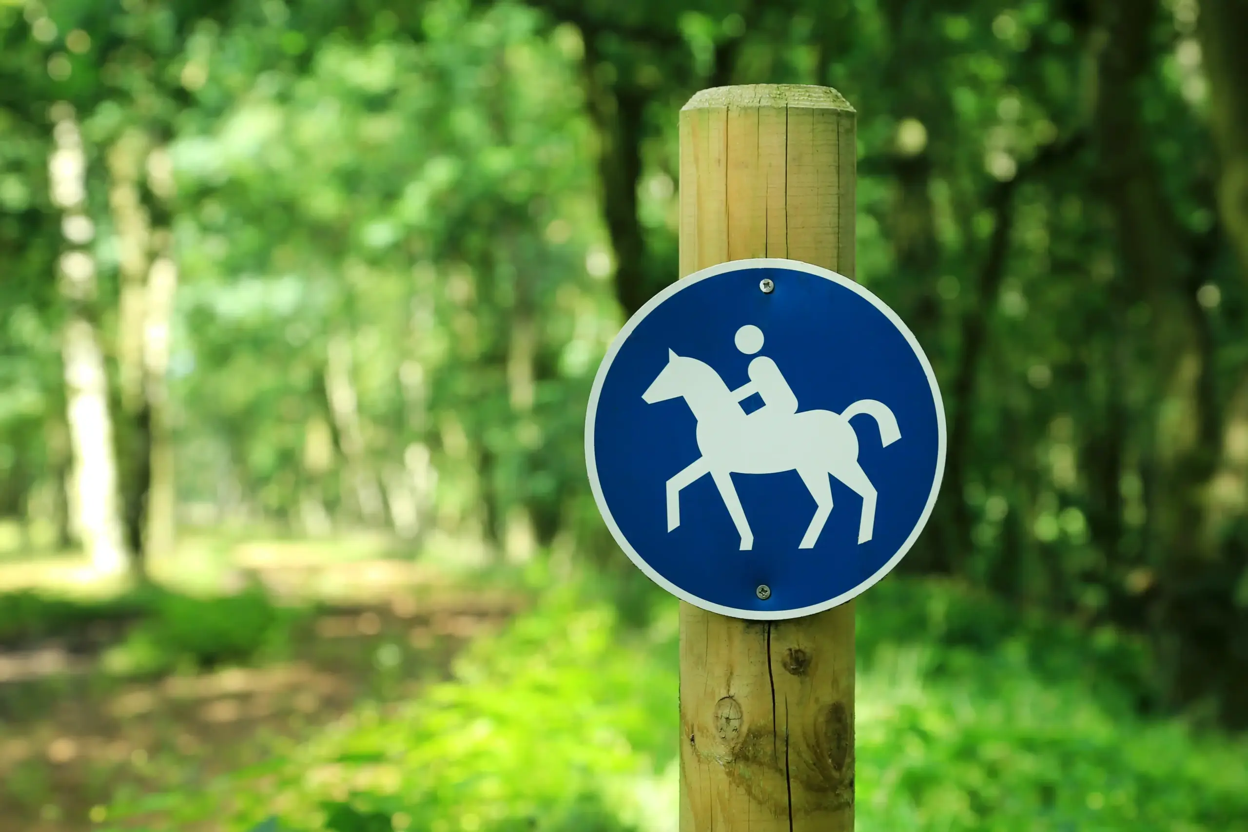 Reitwegschild im Wald
