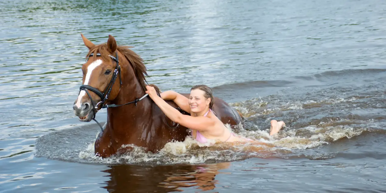 Planschen und entspannen: Mit dem Pferd zum Badesee
