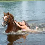 Planschen und entspannen: Mit dem Pferd zum Badesee