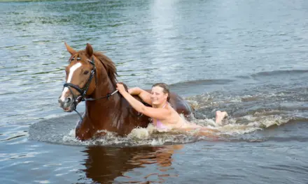 Planschen und entspannen: Mit dem Pferd zum Badesee