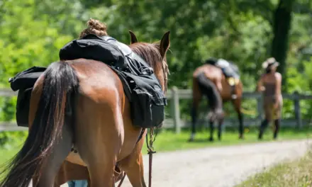 Einkehr mit Pferd: Entspannte Rast beim Ausflugslokal