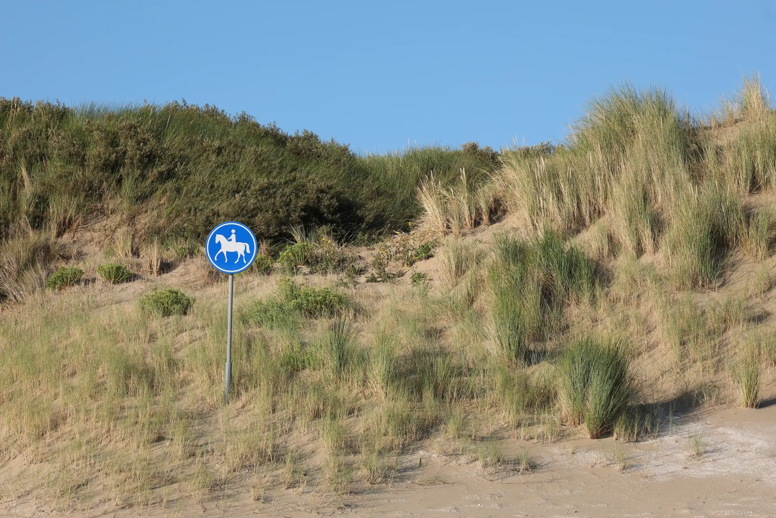 Ein Reitwegschild am Strand bei einer Düne