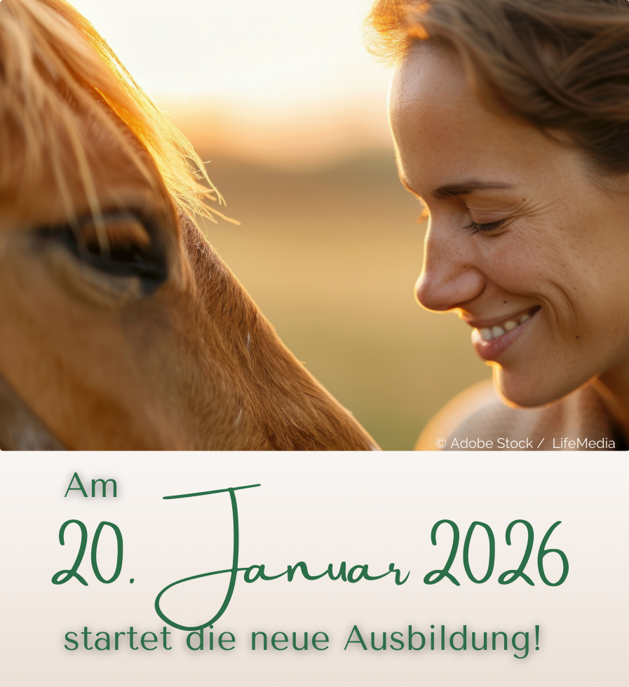 Ausbildung Heilströmen Jin Shin Jyutsu: Starttermin 20. Januar 2025