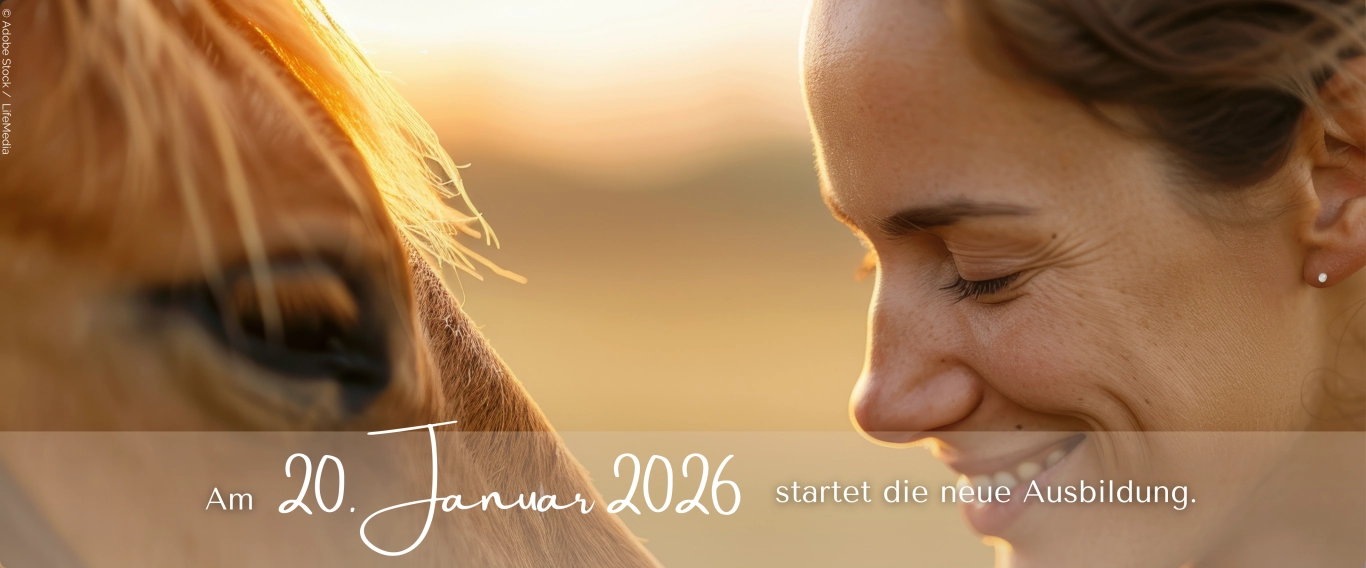 Ausbildung Heilströmen Jin Shin Jyutsu: Starttermin 20. Januar 2025
