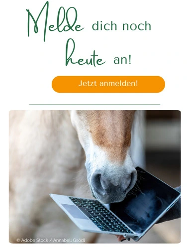 Melde dich noch heute an! Jetzt anmelden!