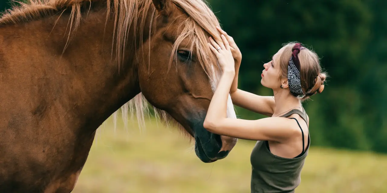 5 Schritte, mit denen du deinem Pferd beim Abnehmen hilfst